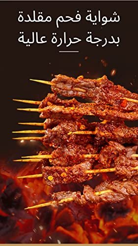 Home Master Electric Meat Grill - 11 Skewer