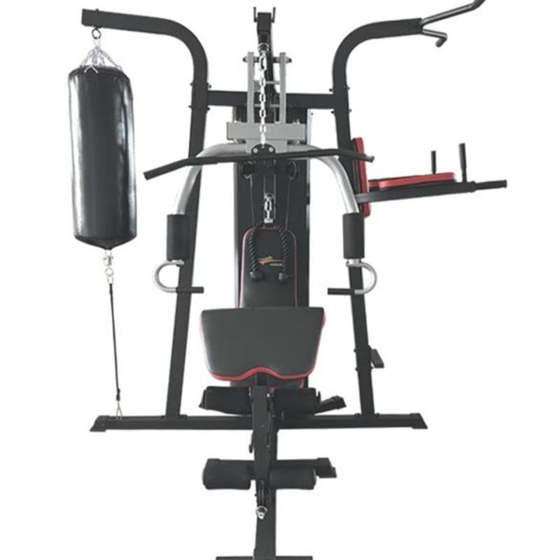 هوم جيم لتمارين لياقة بدنية وبناء عضلات مع 17 تمرين مختلف فولاذ قوي D03-01