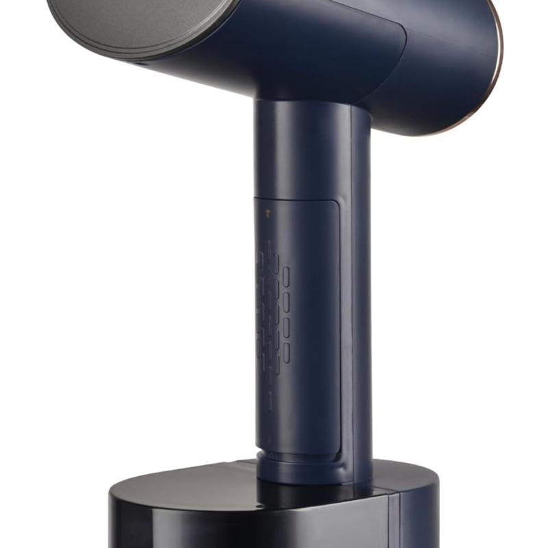 كاوية بخار يدوية بسرعة فائقة، كي جاف / رطب قدرة 1600 واط، سعة 320 بفرشاة لإزالة الشوائب RE-3-056