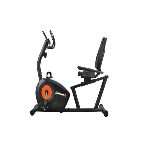 Magnetic stationary bike with backrest